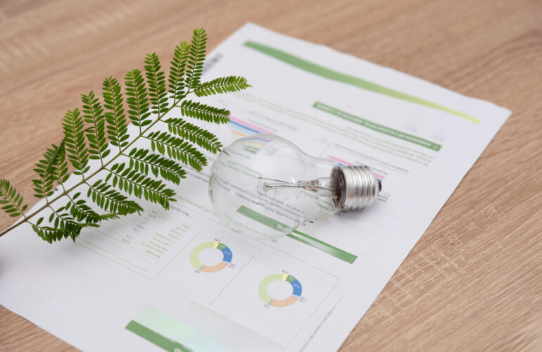 Certificats d'Estalvi Energètic (CAE)