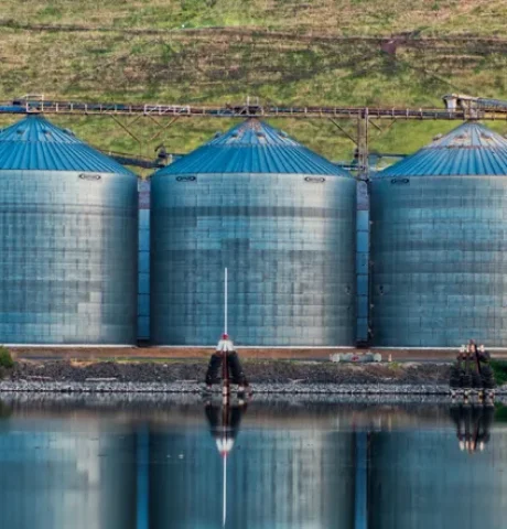 Biogas